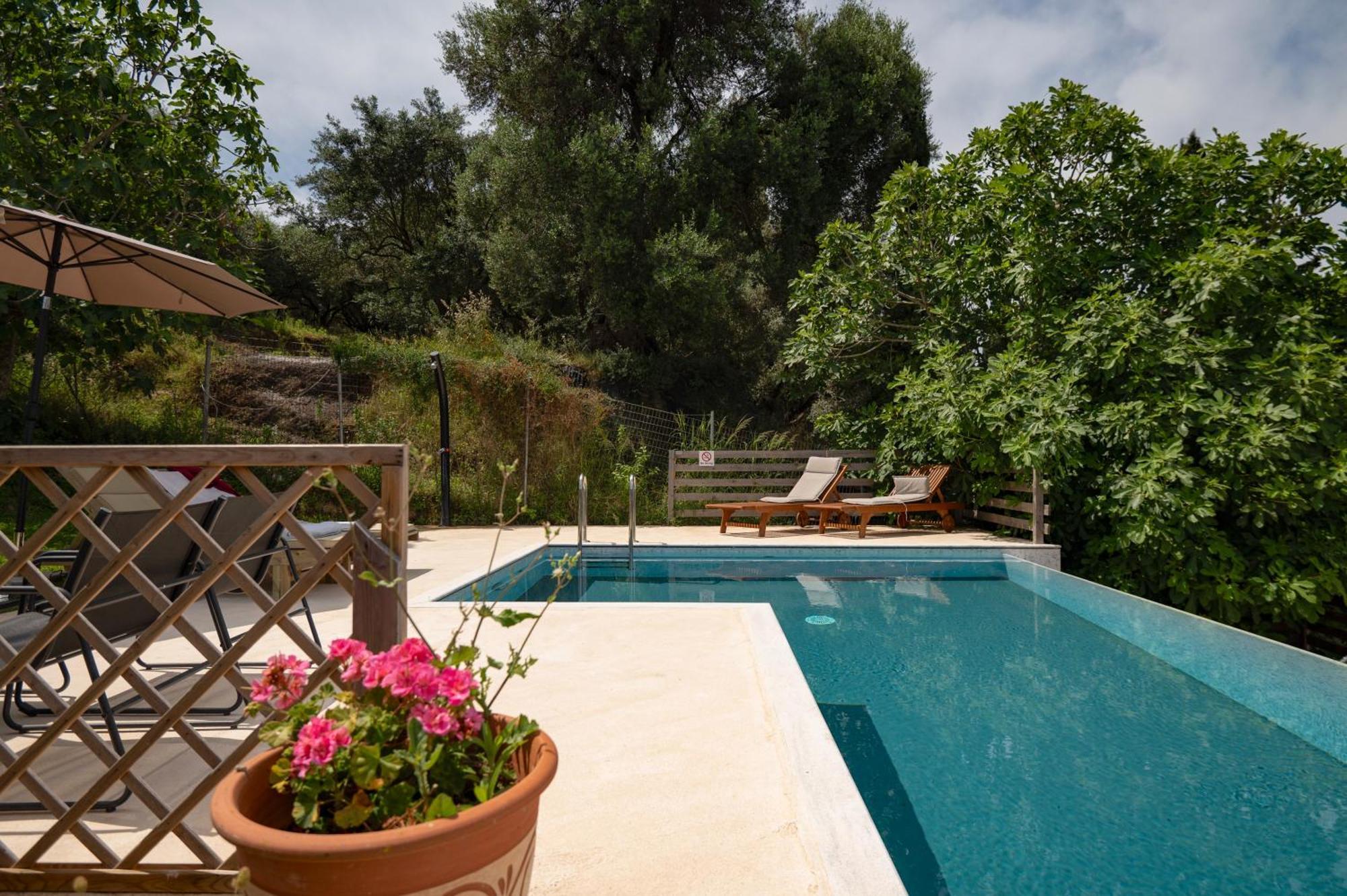 Villa Serenita Agios Georgios  Dış mekan fotoğraf